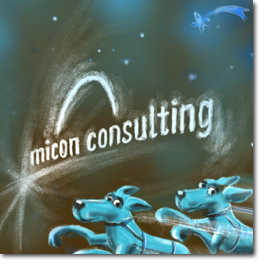 micon consulting